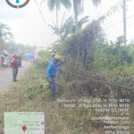 Respons Cepat Tangkap Keluhan Warga: PLN ULP Bitung Bersihkan Jaringan Listrik Demi Keamanan Bersama IMG-20260821-WA0207(1)